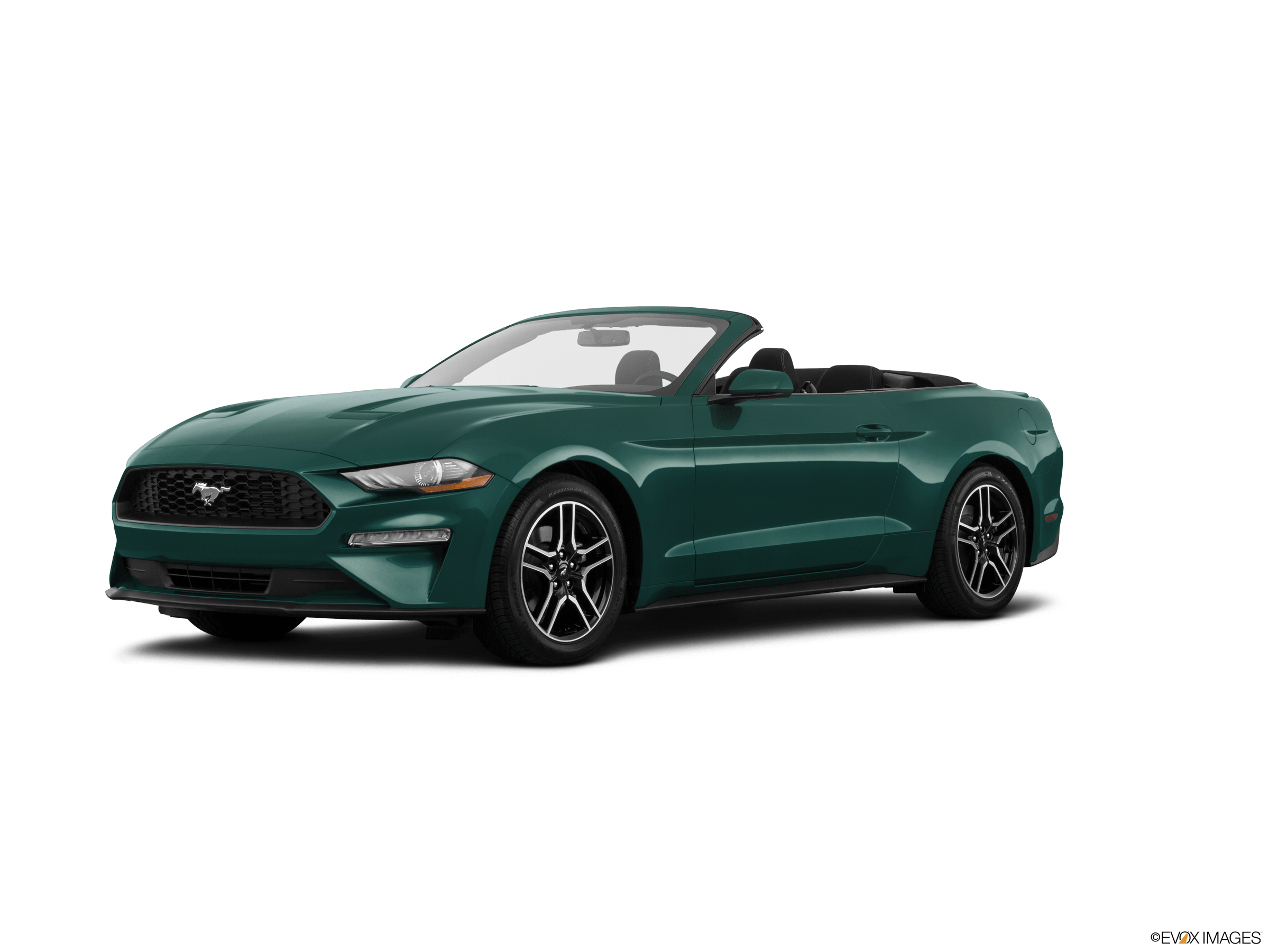 2022 Ford Mustang Leasing (Best Car Lease Deals & Specials) · NY, NJ